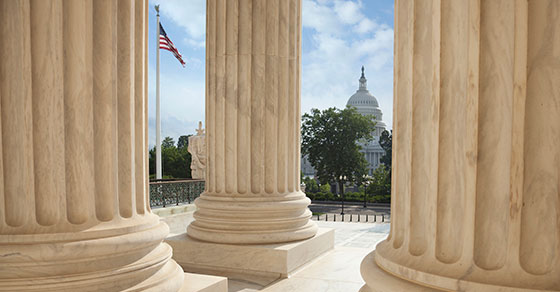 Columns with US Capitol Building in Background