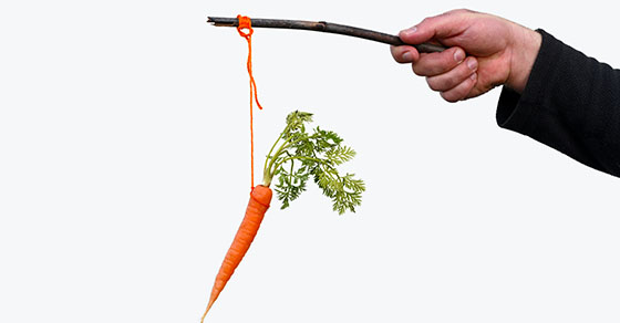 Hand dangling a carrot from a stick