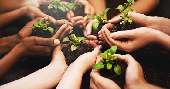 A group of cupped hands in a circle, all holding soil with a small plant inside it.