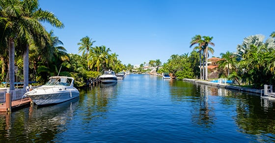 An image of a neighborhood harbor surrounded by palm trees, docks, and boats.