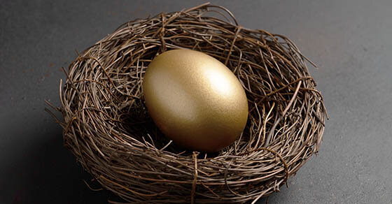 An image of a golden egg inside of a bird's nest.